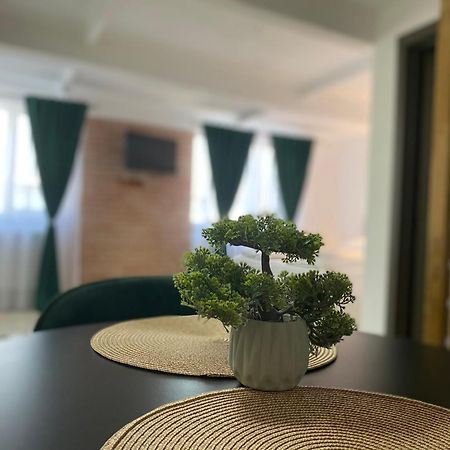 Bistriţa Wonderland Apartment מראה חיצוני תמונה
