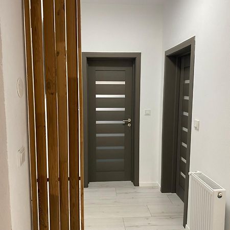 Bistriţa Wonderland Apartment מראה חיצוני תמונה