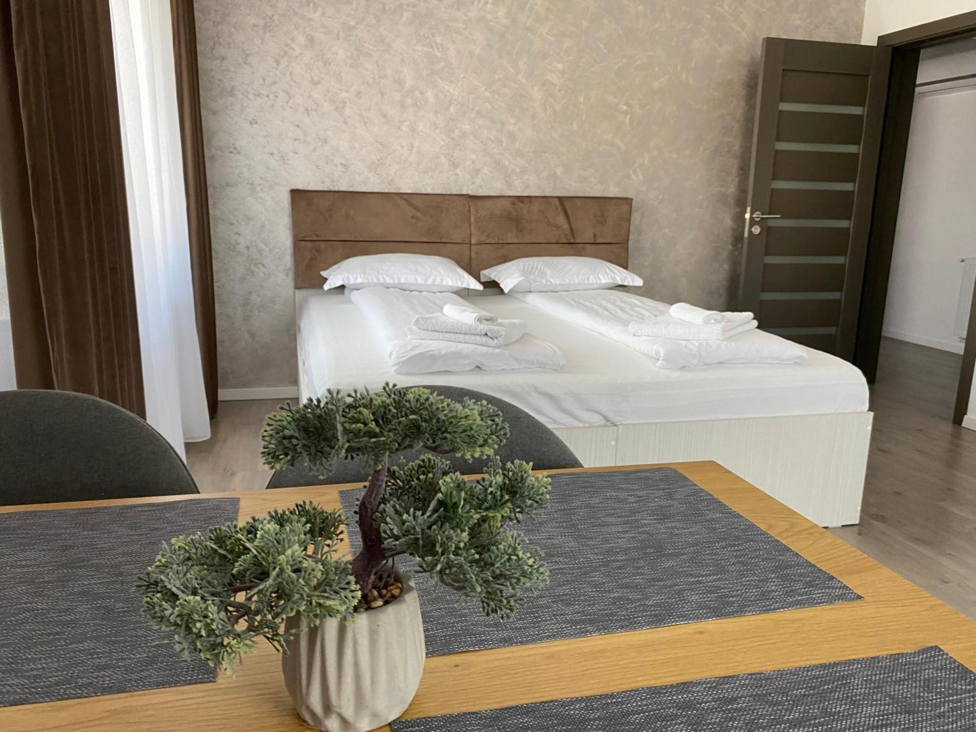 Bistriţa Wonderland Apartment מראה חיצוני תמונה